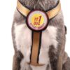 Brustgeschirr für Hunde - Farbe Gold. Brustansicht am Hund - Hundegeschirr mit austauschbarem Klettverschluss Patch - Number 1 Dog
