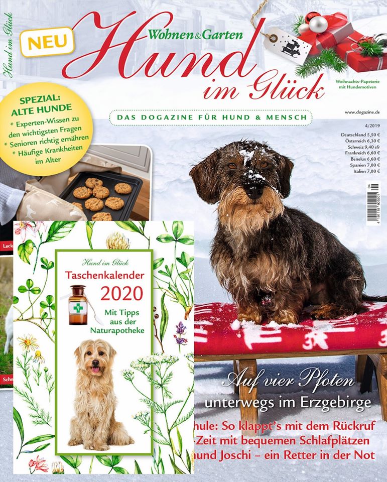 Read more about the article Hund im Glück 4/2019