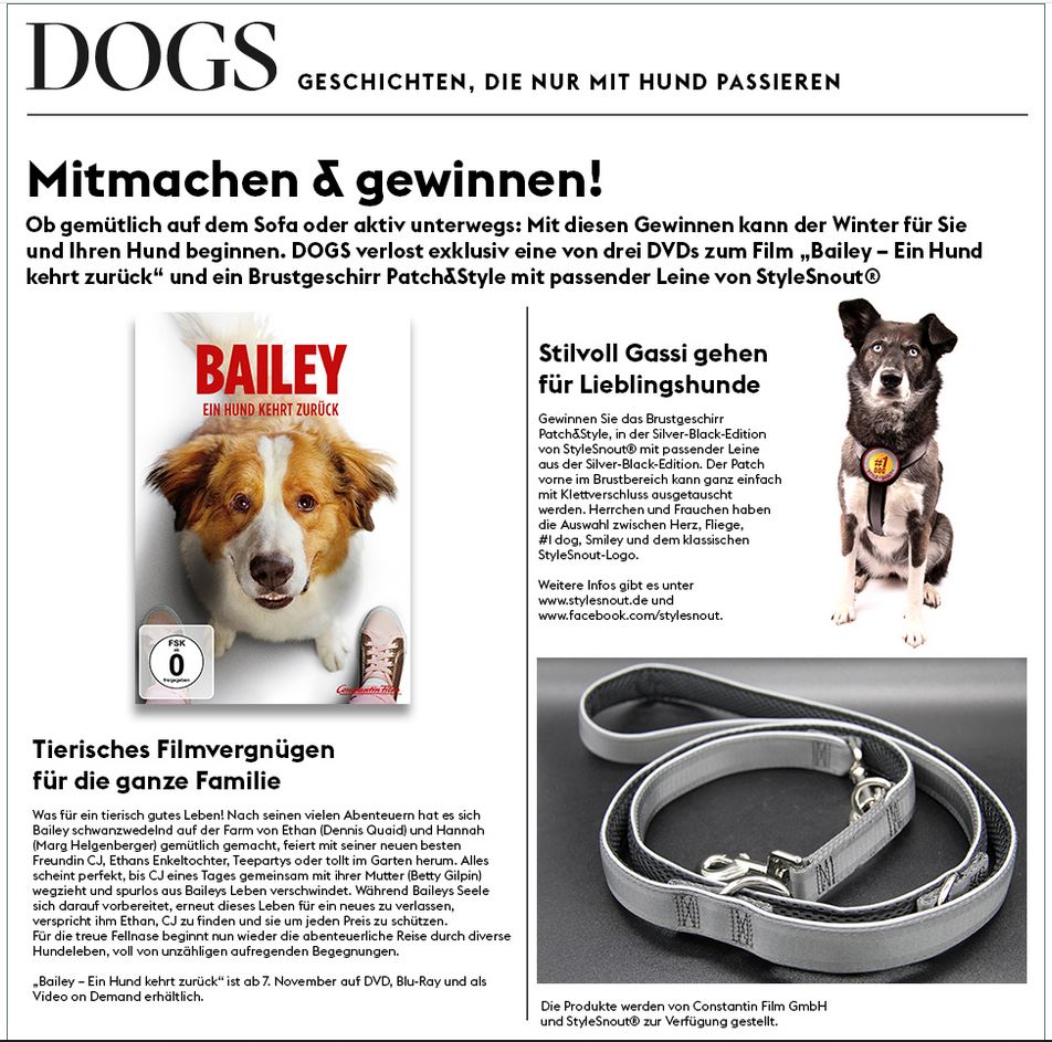 Read more about the article DOGS – Newsletter