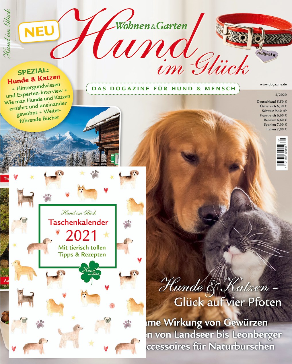 Read more about the article Hund im Glück 4/2020