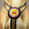 Brustgeschirr für Hunde - Farbe Gold. Brustansicht am Hund - Hundegeschirr mit austauschbarem Klettverschluss Patch - Prinzessin/Princess