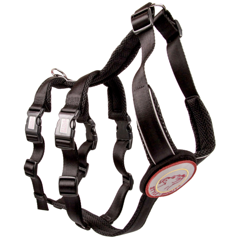 Sicherheitsgeschirr Hunde in Schwarz