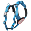 Brustgeschirr für Hunde - Patch&Style - Farbe Blau Türkis-Seitenansicht - Hundegeschirr mit austauschbarem Klettverschluss Patch