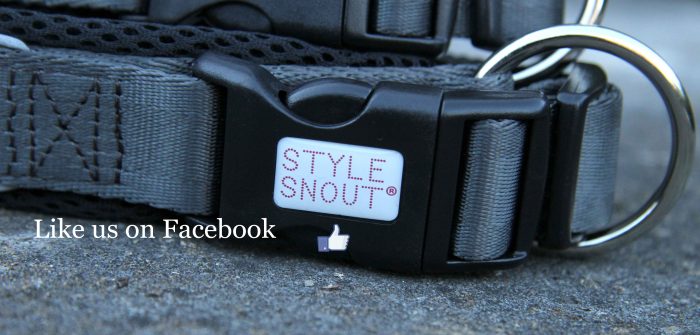 Facebook Bild Facebook Bild
